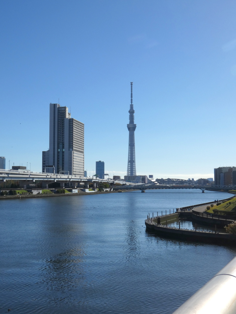 瑞光橋からの隅田川の風景