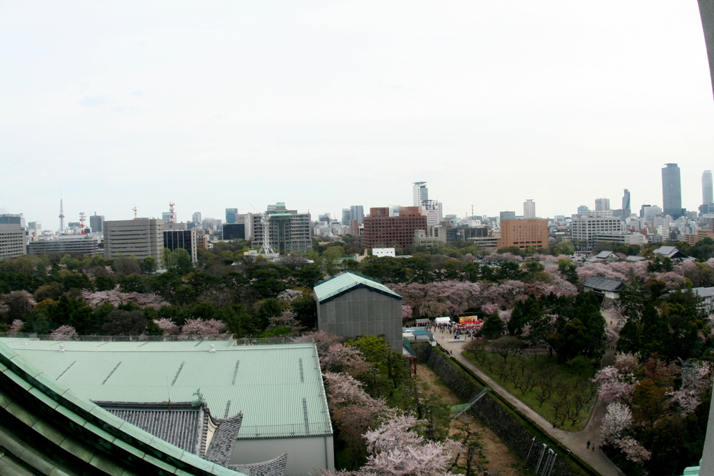 名古屋城の天主からの眺め６