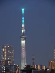 荒川土手から手持ち夜景の東京スカイツリー