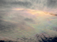 荒川土手からの積雲の彩雲