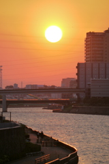 隅田川テラスの夕日