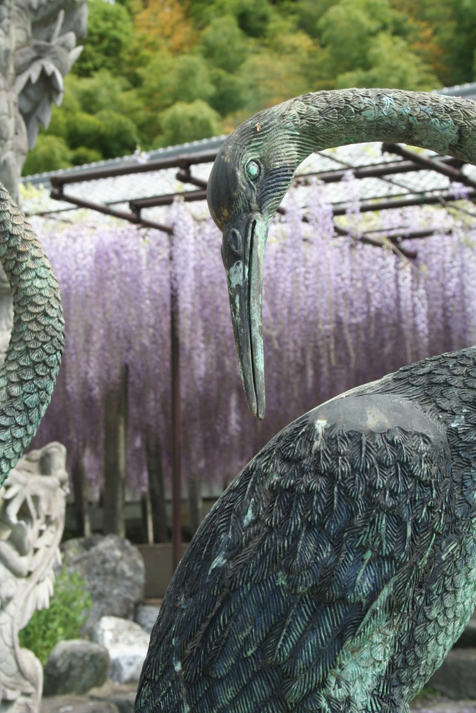 鶴の銅像と骨波田の藤