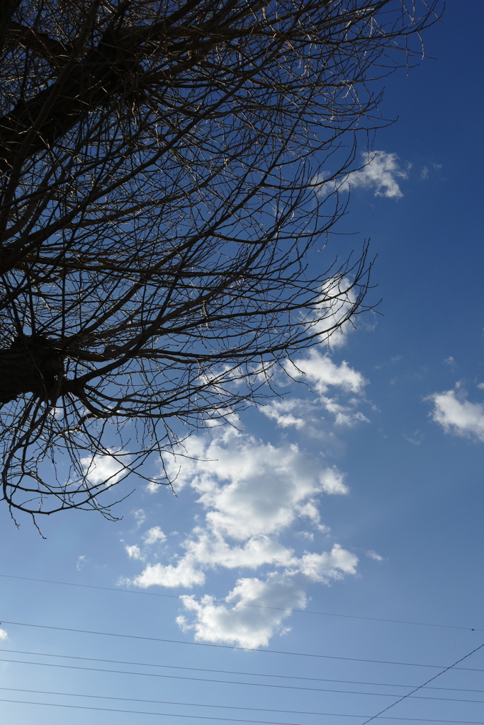 富嶽36景銀杏稲荷の夕雲