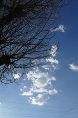 富嶽36景銀杏稲荷の夕雲