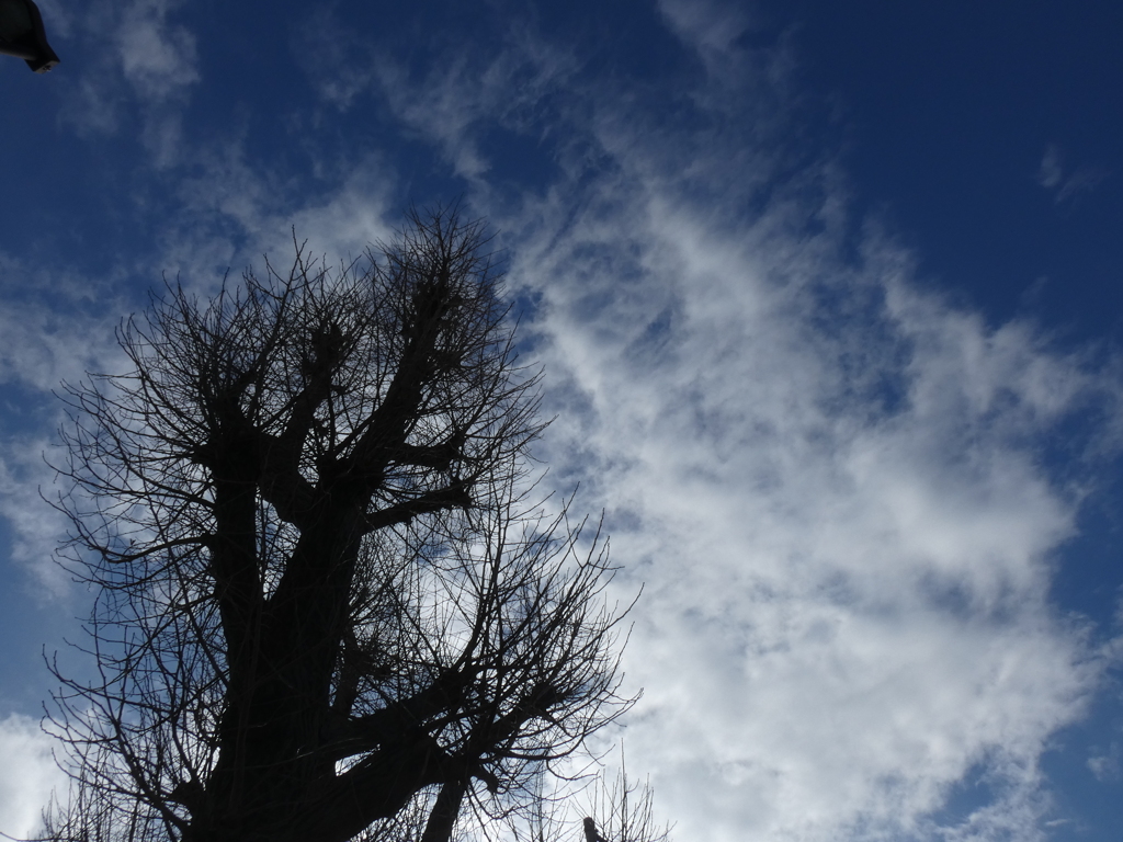 銀杏稲荷の上のK/H？の