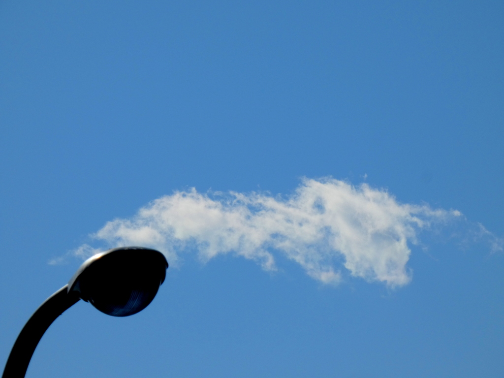 荒川土手の車道の街路灯と彩雲気味の雲