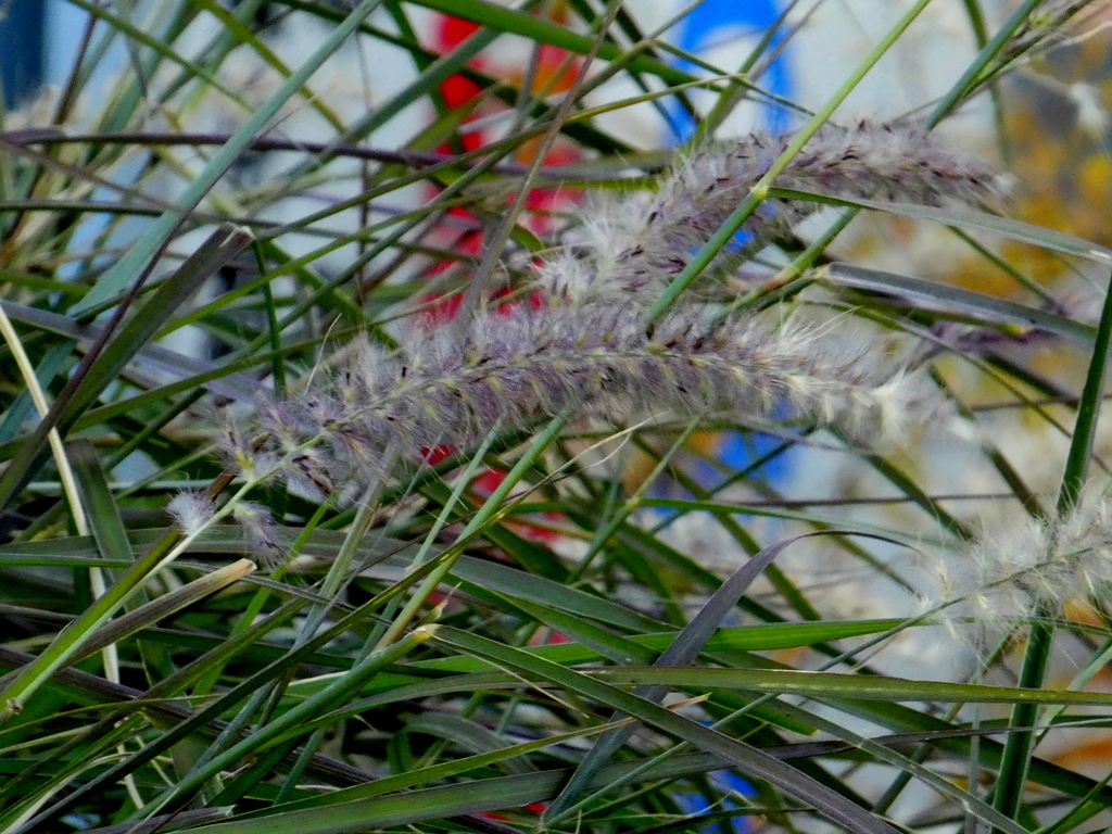 空港のファウンテングラス