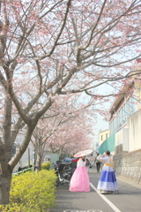 エキゾチックな田端小学校前の神代曙桜並木