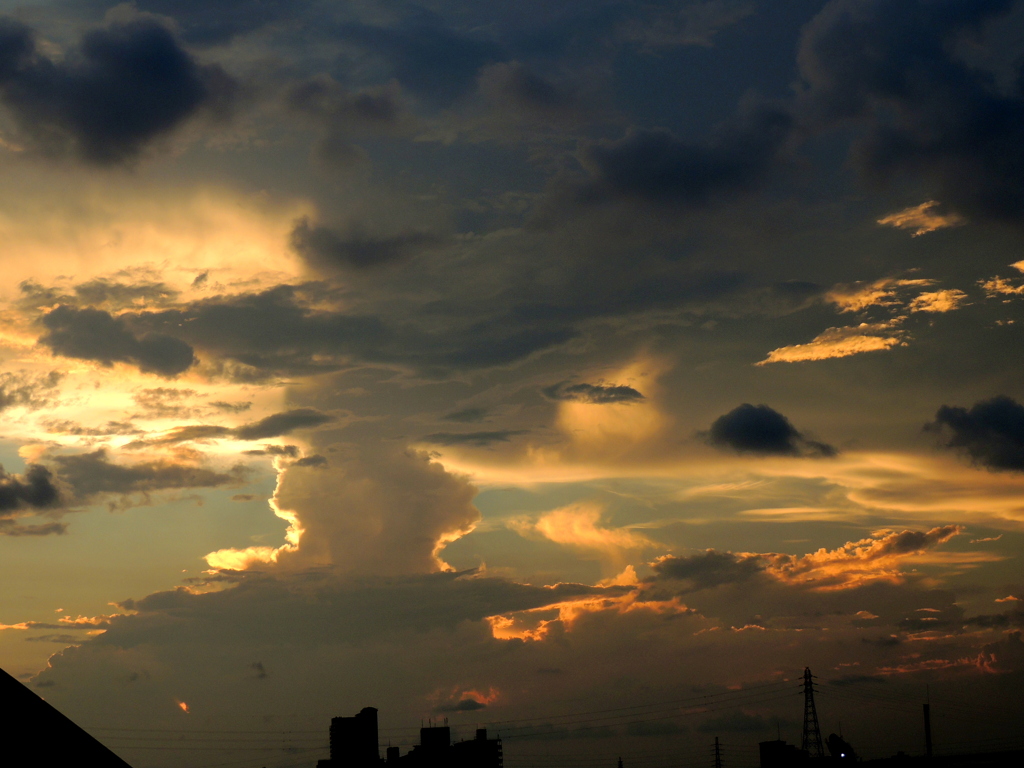 尾竹橋の夕雲