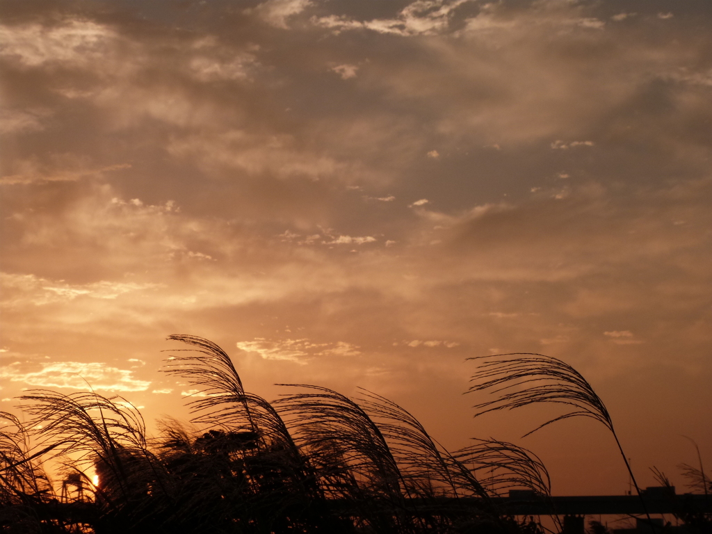 河原の夕焼け