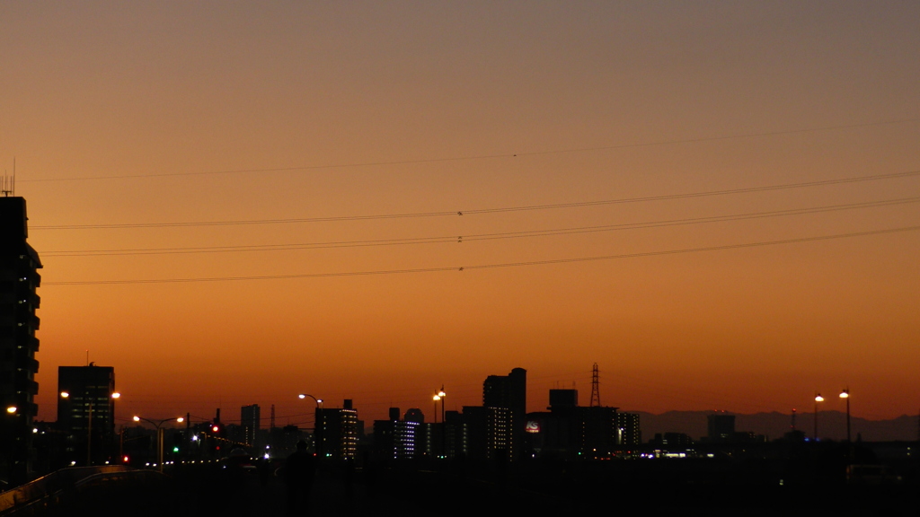 ’２３新春の荒川土手からの夜景６
