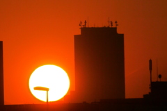西新井橋から池袋サンシャイン60左の夕日