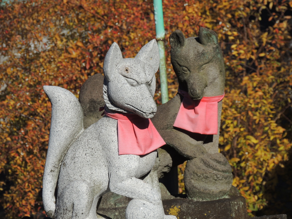 千住神社の雪柳とお稲荷さん