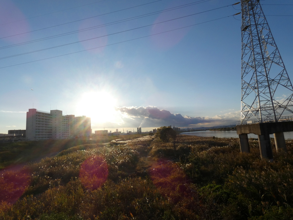 夕日のコラージュ