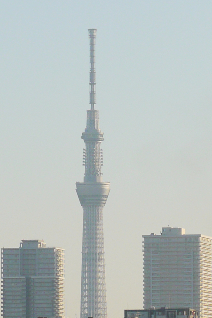 ’23新春の荒川土手から東京スカイツリー