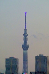 荒川土手から見える夕暮れの東京スカイツリー