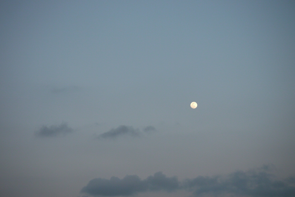 西新井橋から東雲と丸い月