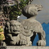 千住の本社氷川神社の狛犬