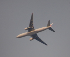 荒川の河原から見えた飛行機