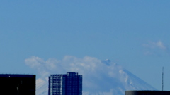 日中の富士山