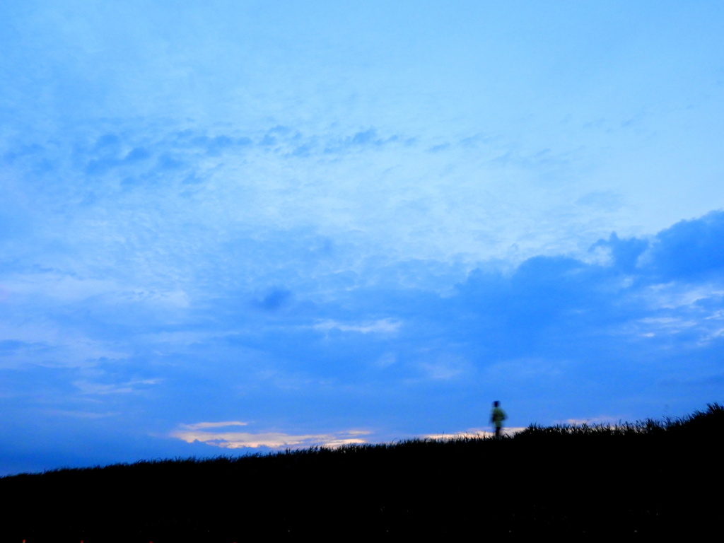 荒川土手に夏至の夕雲