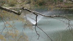 岡崎城公園の噴水