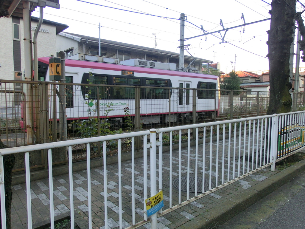 終点三ノ輪橋駅へ向かう都電荒川線