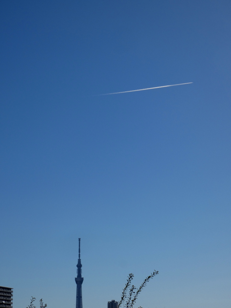 東京スカイツリーの上空の飛行機雲