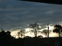 舎人公園の暗雲