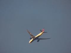 北方面の向かう夕日を浴びる飛行機