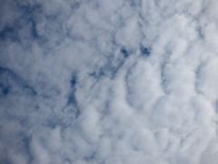 高積雲の乳房雲