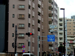 尾竹橋通りの花の木交差点