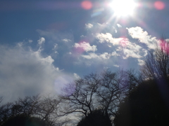 上野桜木の寛永寺徳川慶喜公のお墓へ行ってきた