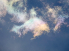 荒川土手上空の綺麗な彩雲
