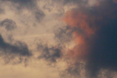 隅田川の夕焼け雲