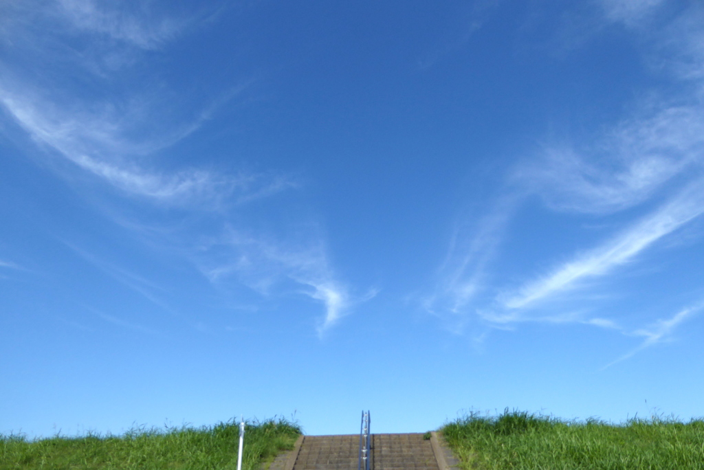 土手上の雲