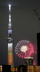 足立区から’24隅田川第一会場の花火５