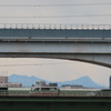 荒川扇橋上