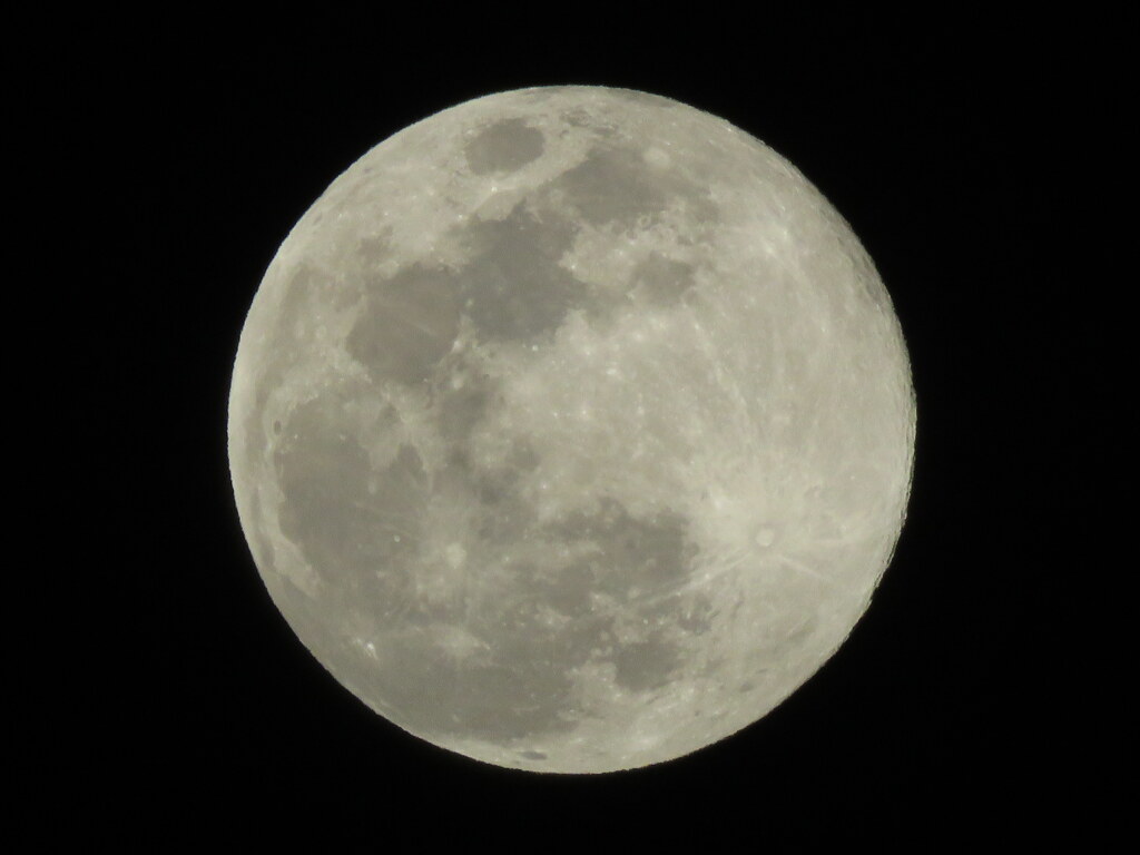 １２月の最後の満月はゴールドムーンというらしい