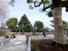 上野東叡山寛永寺谷中の新しくなった渋沢家と尾高家の公園墓地