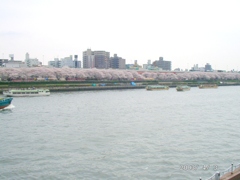 花曇りの隅田川