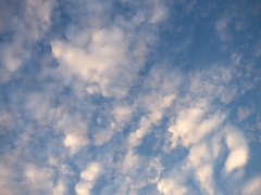 高積雲の乳房雲風