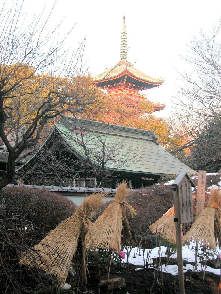 冬の夕日の上野東照宮の五重の塔と