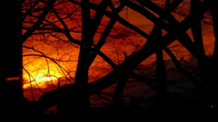 隅田川沿い尾竹橋公園から望むテニスコート越しの雁が腹摺山左の大蔵高丸に入る夕日