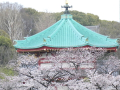 不忍池の弁天堂と桜