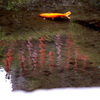 根津神社のカラフルな池の水面