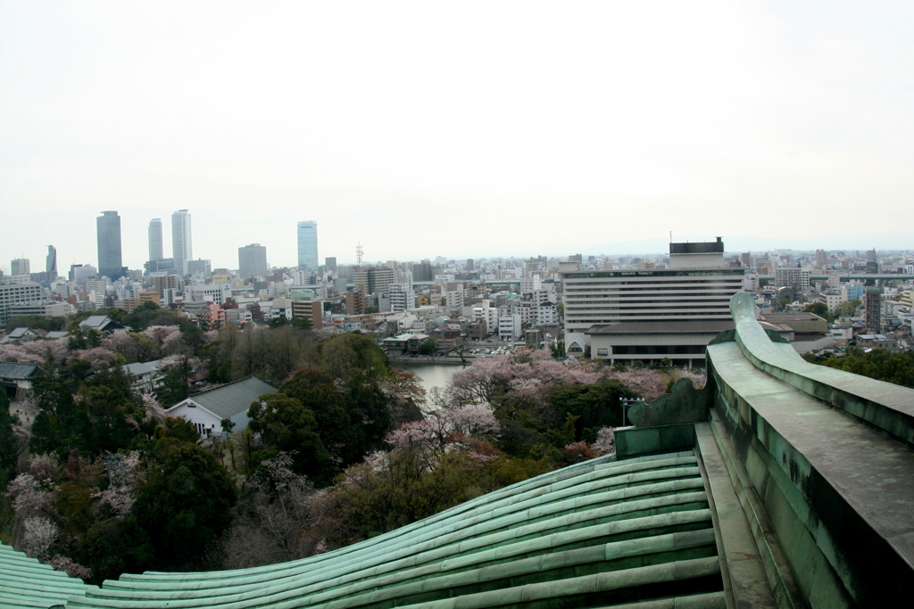 名古屋城の天主からの眺め５