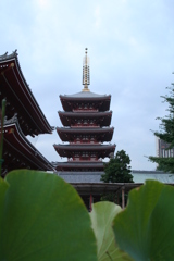 浅草観音様の五重塔