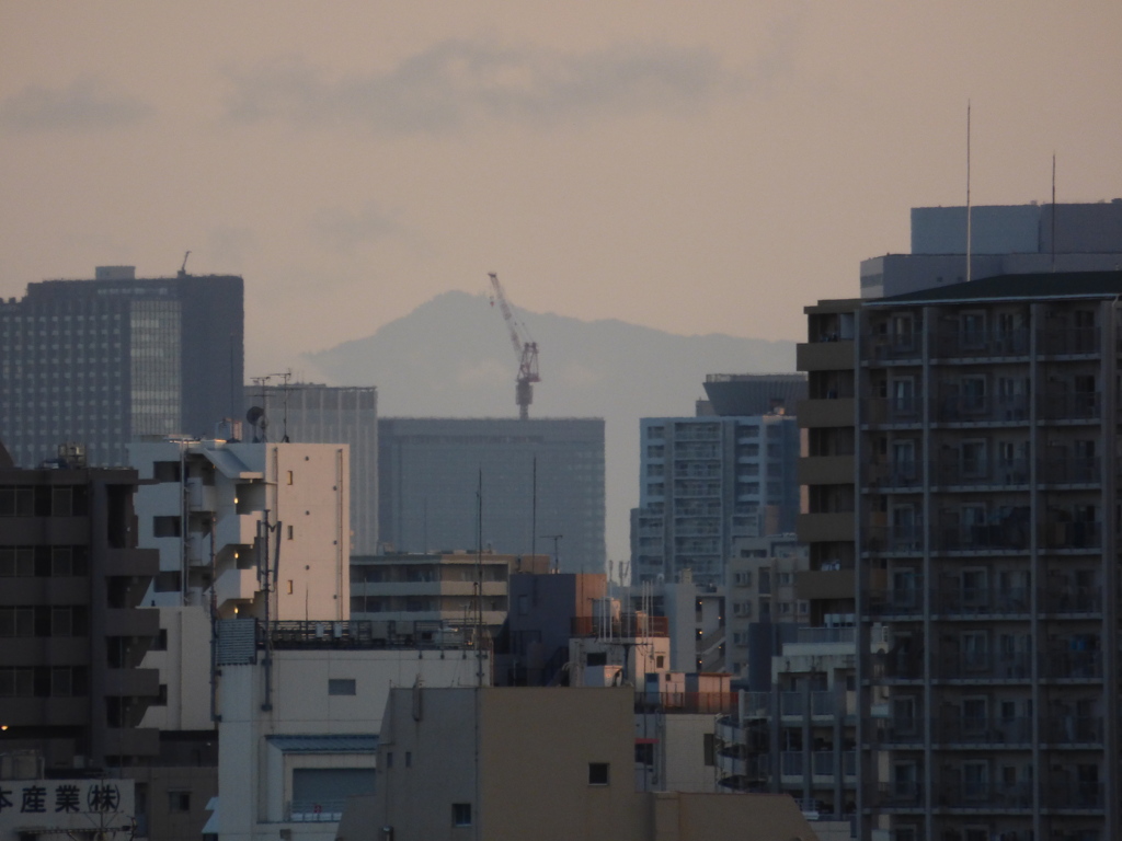 荒川土手から丹沢山系の大山山頂