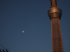 月とスカイツリー